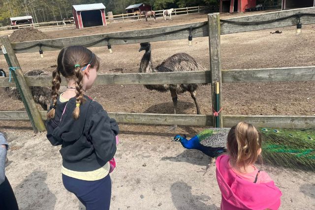 Kids at Zoo